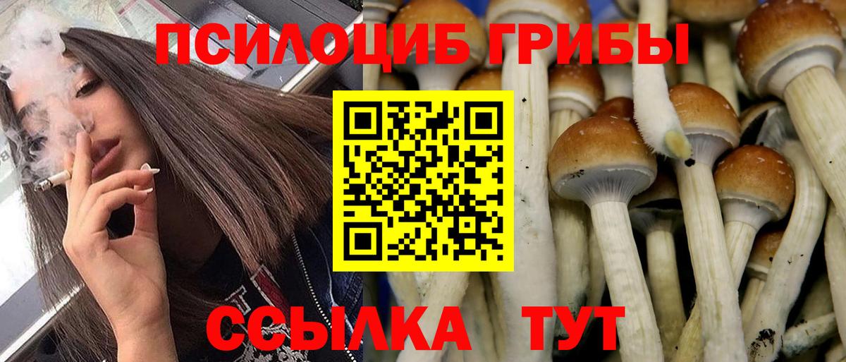 Псилоцибиновые грибы прущие грибы Сухой Лог